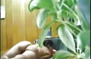 XXX nhỏ brunette lây lan âm hộ xxxn hiếp